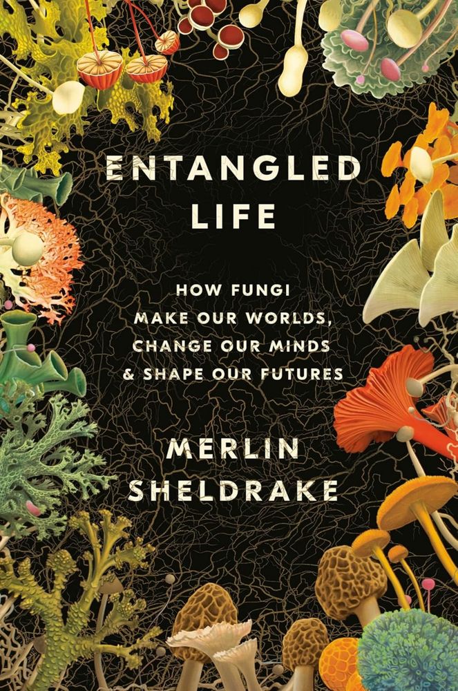 book cover for Entangled Life: How Fungi Make Our Worlds, Change Our Minds & Shape Our Futures by Melvin Sheldrake - a rainbow of fungi and lichen surround a black bg with mycelium strands connecting them