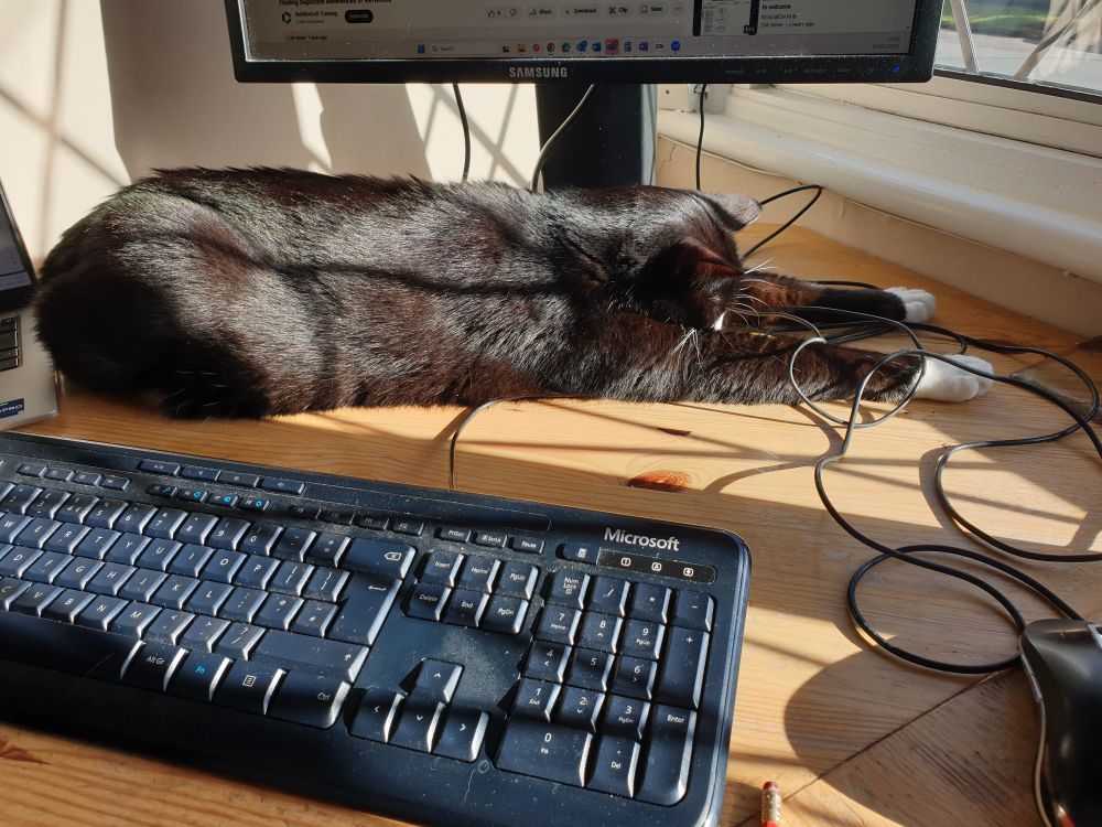 Cat spread out in a sunny window by a computer monitor 