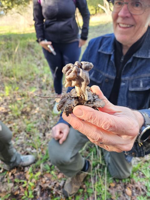 Resident Ranger, Brooke leading a mushroom walk!