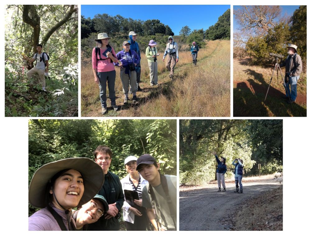 Top left: Julien Ueda resurveying the Blair bird count points for his honors thesis. Photo by Trevor Hebert. 

Top middle: Transect E birders on the trail. From left: Sally Jackson, Jan Schachter, Rob Jackson, Karen Greig, Mike Frank, Sara Timby. Photo by Dan Quinn.

Top right: Phil Leighton with a spotting scope. Photo by Dan Quinn.

Bottom left: Transect C bird count team with Maya Xu, Marty Freeland, Andy Huynh, Yuchen Li and Chloe Cheng. Photo by Maya Xu.

Bottom right: Mary Ann Allan and Naomi Goodman doing the monthly Transect A bird count at Jasper Ridge. Photo by Sonny Mencher.