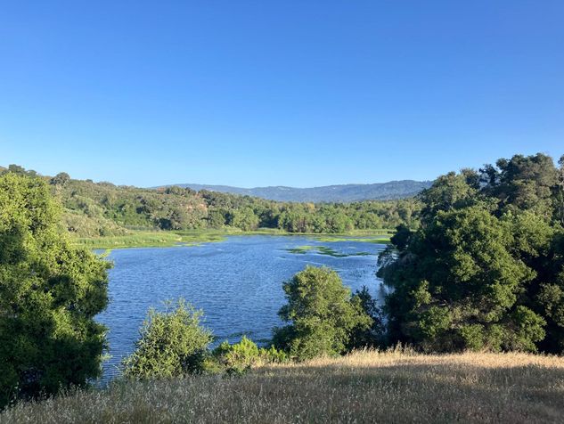 View of Searsville Reservoir, looking south in May 2024. Photo by María Gloria Robalino Ceped.