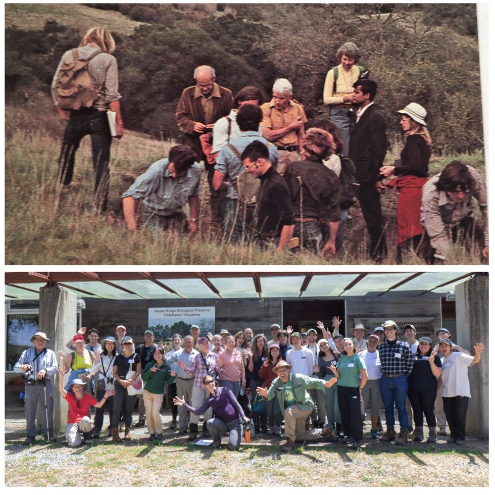 Top: Docent class of 1975 joins a geochemistry class from campus (Ann Lambrecht is the one in the hat). Photo taken from The Stanford Magazine for Spring/Summer 1975. Instructor Herb Dengler is standing (medium-brown shirt, darker brown jacket). Photo from Ann Lambrecht. Bottom: The docent class of 2024 is welcomed by the docent community after new students practiced leading a tour. Photo credit Jorge Ramos and Bob Siegel.