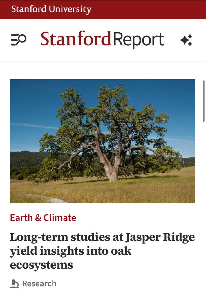 Enjoy a virtual research hike with the @stanford.edu Report article titled "Long-term studies at Jasper Ridge yield insights into oak ecosystems"
