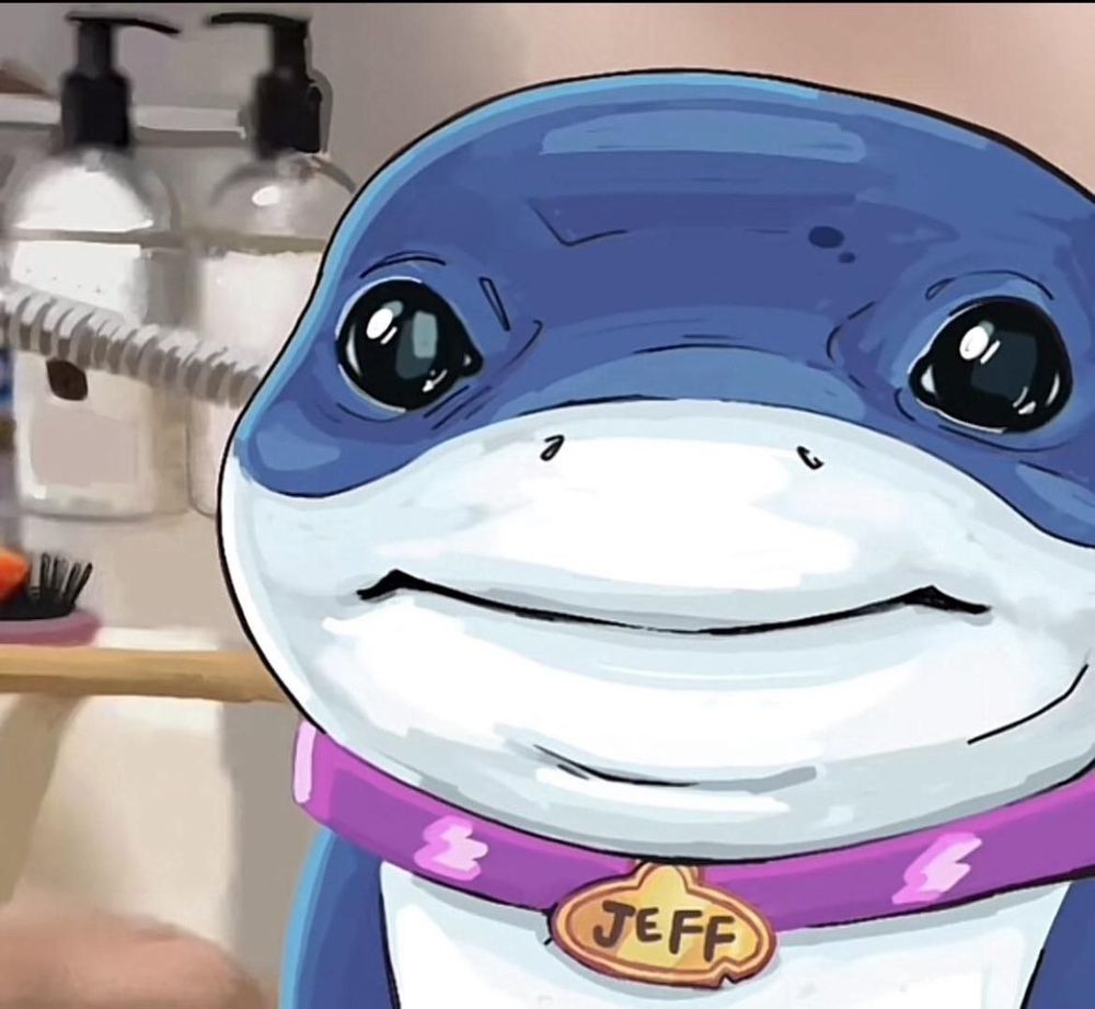 Jeff the landshark making an unreadable yet somehow pathetic face, like an unphotogenic cat