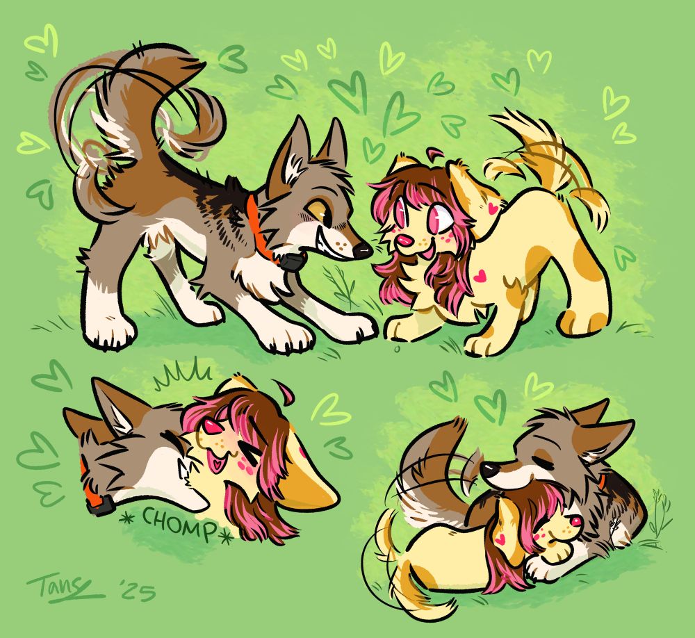 A page of small vignettes of a wolf (they/she) and a dog (she/it) on a date. They play bow at each other and wag their tails happily, then the wolf chomps on the dog’s neck playfully, then they nap and cuddle in a little pile.