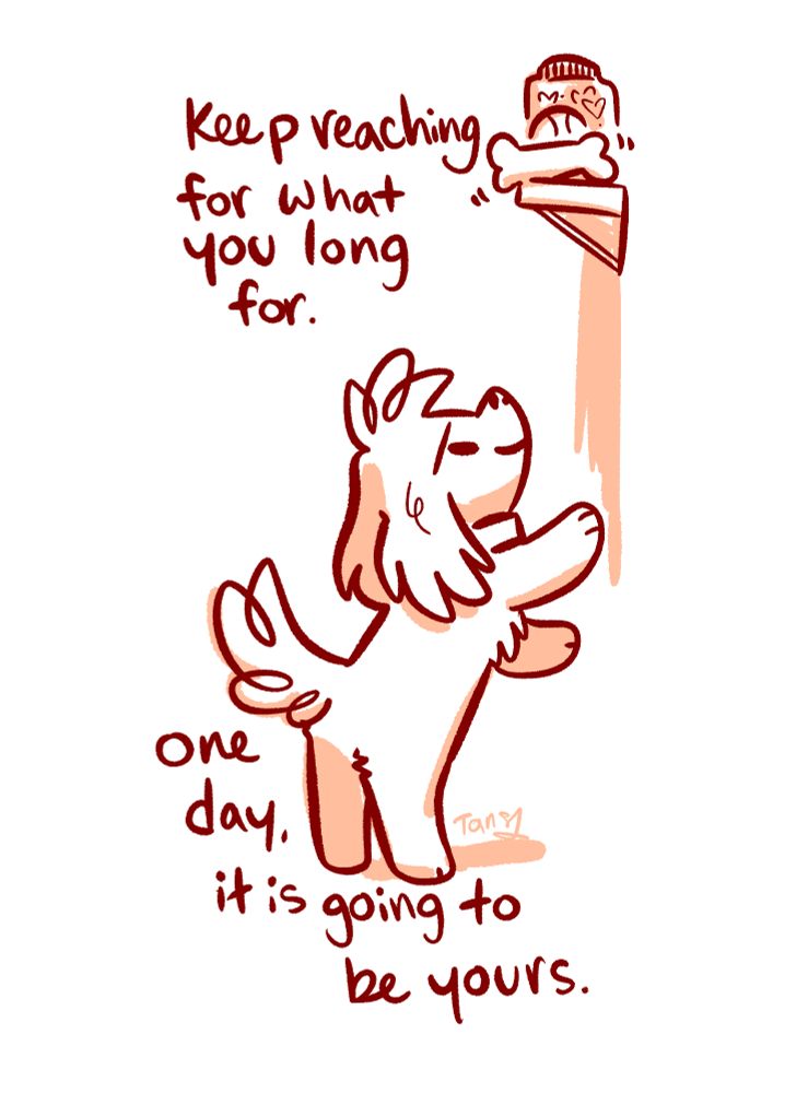 A doodle of a little dog reaching up a wall trying to get to a shelf high above with a bone, a ball, and a jar of treats on it. He is clearly too short but he looks determined! Text reads "Keep reaching for what you long for. One day, it is going to be yours."