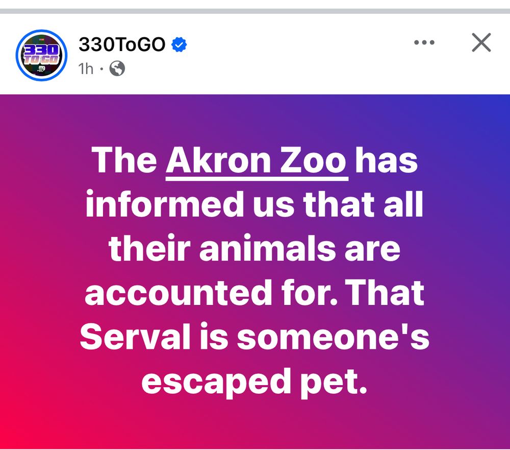A local news Facebook group announcing “The Akron Zoo has informed us that all their animals are accounted for. That Serval is someone's escaped pet.”