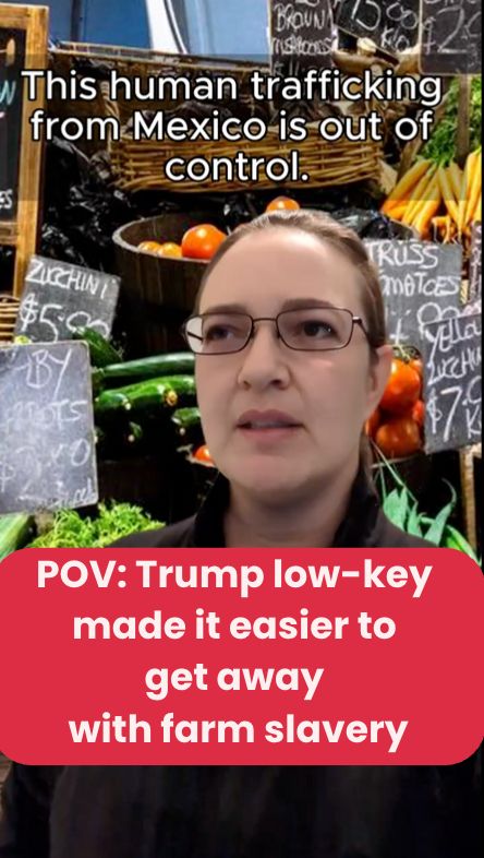 Thumbnail for the video. Caption "POV: Trump low-key made it easier to get away with farm slavery" over a shot of the creator looking offscreen. Background is fruit & signs at a farmer's market.