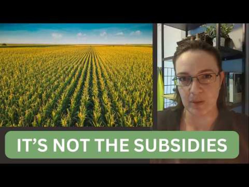 Why Corn And Soy Are In EVERYTHING