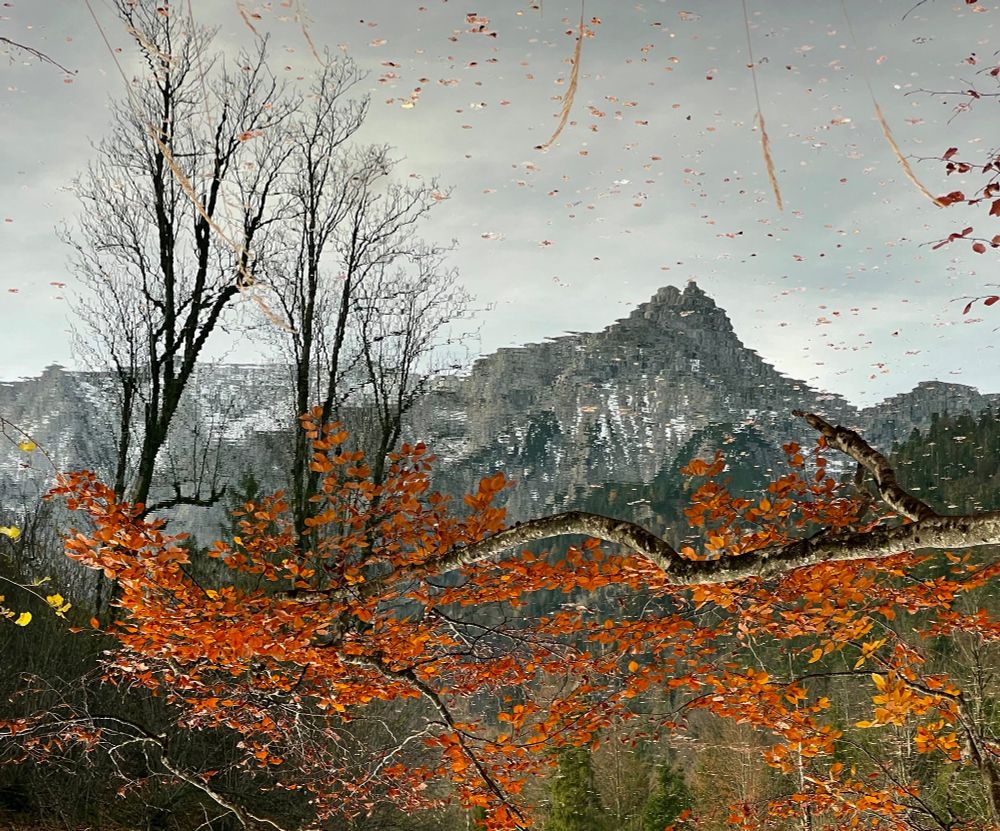 A reflected image of a mountain and a beech tree brach graced with fiery autumn leaves.