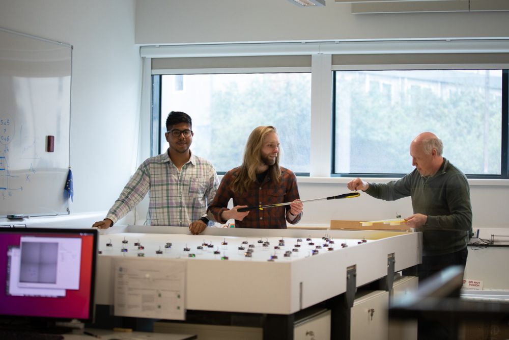 Kilobots are small, low-cost robots that can work together in groups to perform complex tasks