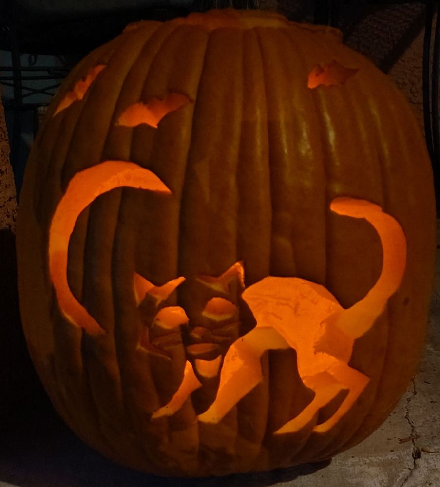 A carved pumpkin with a cat in the classic arced back scared pose, a crescent moon, and 3 bats