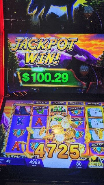 Jackpot win on TimberWolf Triple Play slot