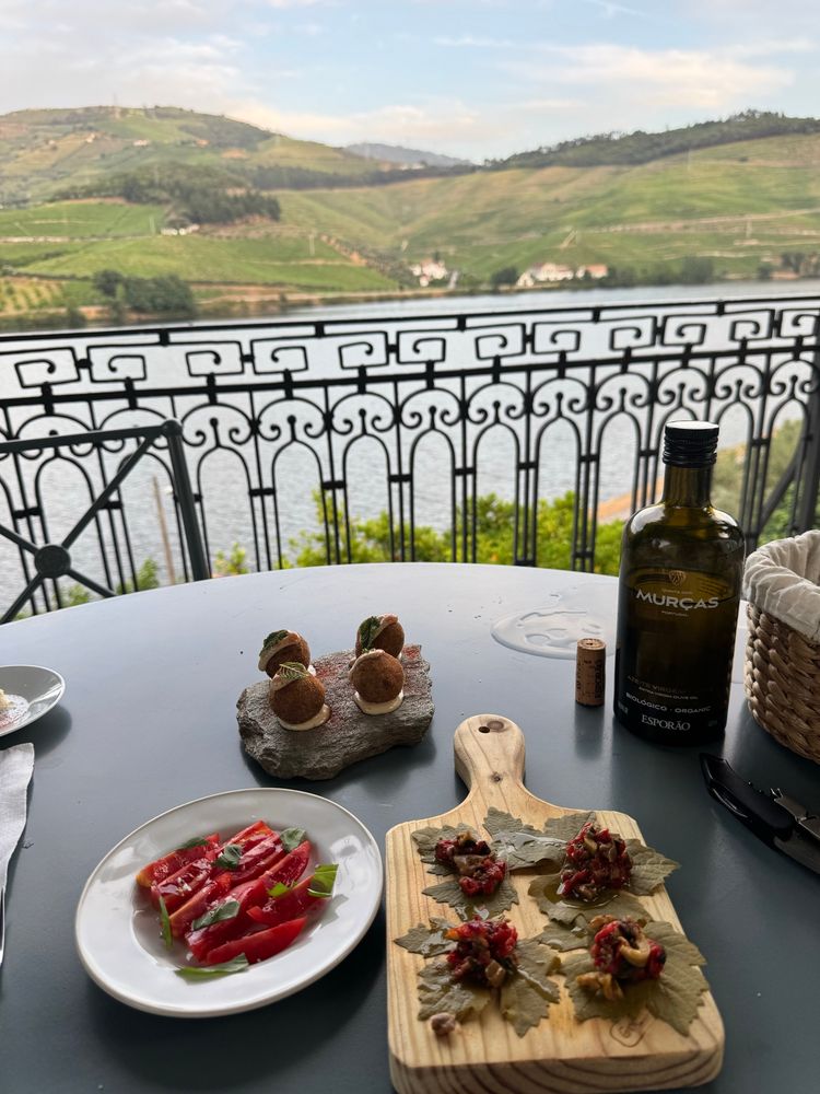 A delicious dinner in Douro