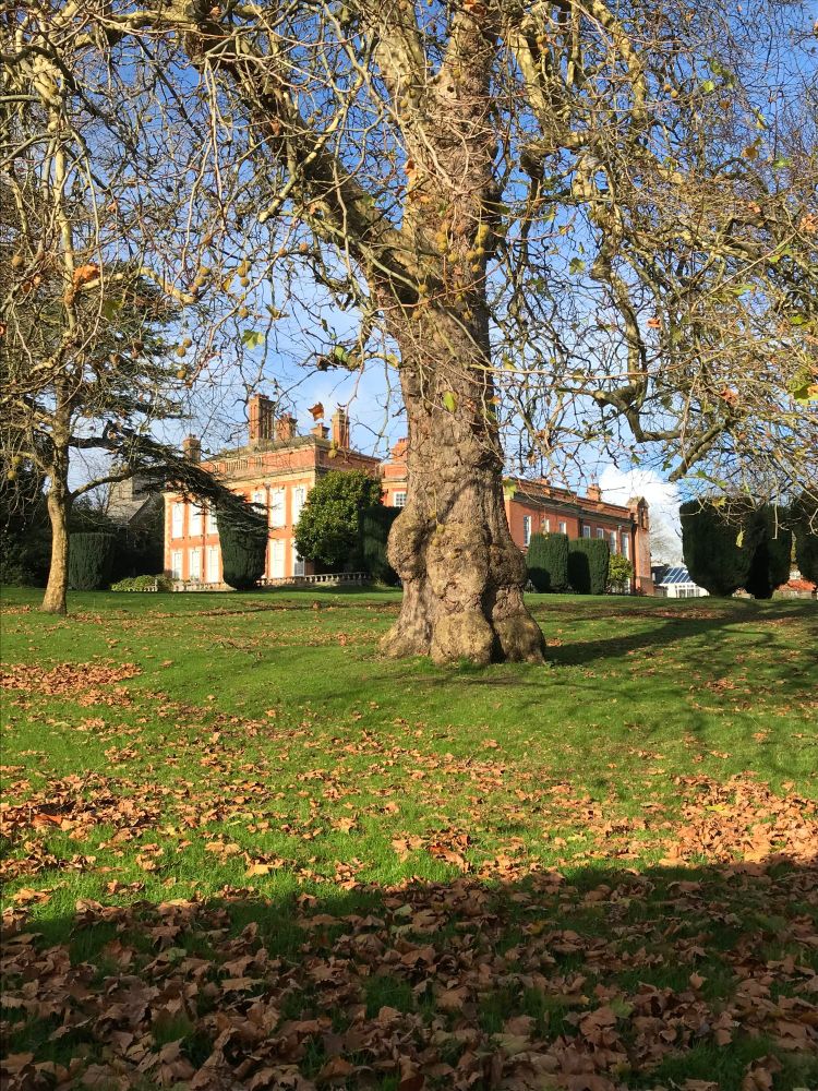 Fremington Manor.  A red brick Georgian design. Replaced much a much ealier tudor building.  Though the oak panneled room from that time still exists.  Pictured in it's grounds of vast lawns, tall leafless trees a a few shaped yews