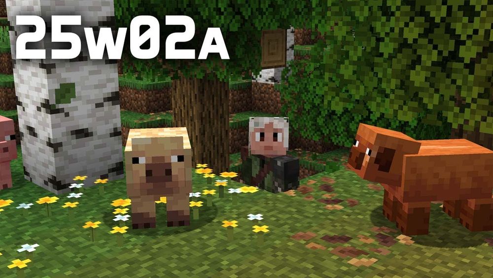 The first snapshot of the year is here! 25w02a brings us pig variants, new leaf litter and wildflowers - and much more! Check out all the changes right here! #minecraftemployee