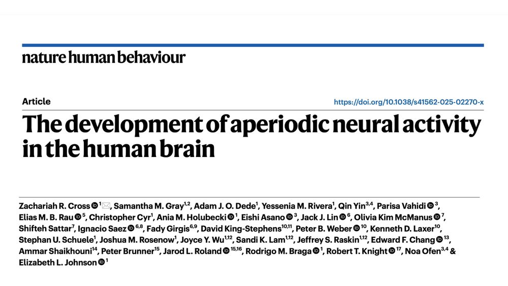 The development of aperiodic neural activity in the human brain header