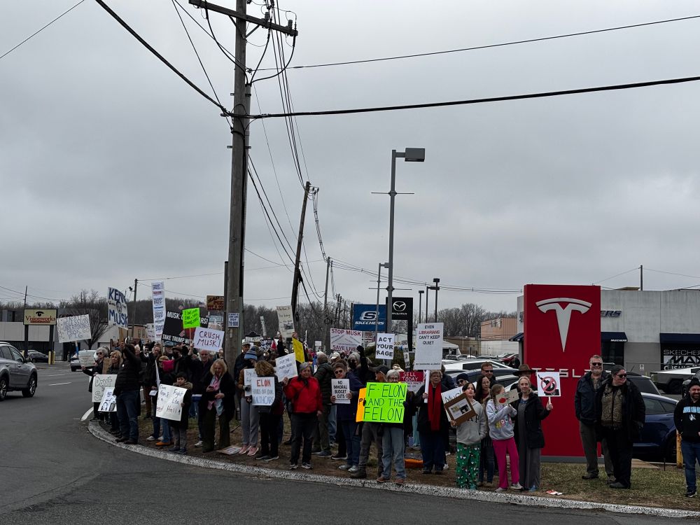 tesla protest