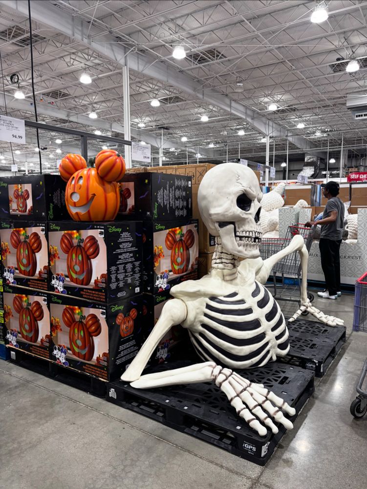 skeleton in costco 