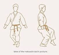 visão frontal e lateral de karateca executando a base nekoashi-dachi