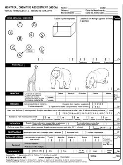 low resolution MOCA variant with a giraffe, bear and hippo