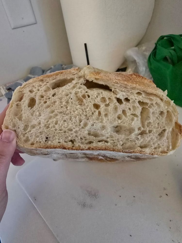 A cross section of a large loaf of sourdough

