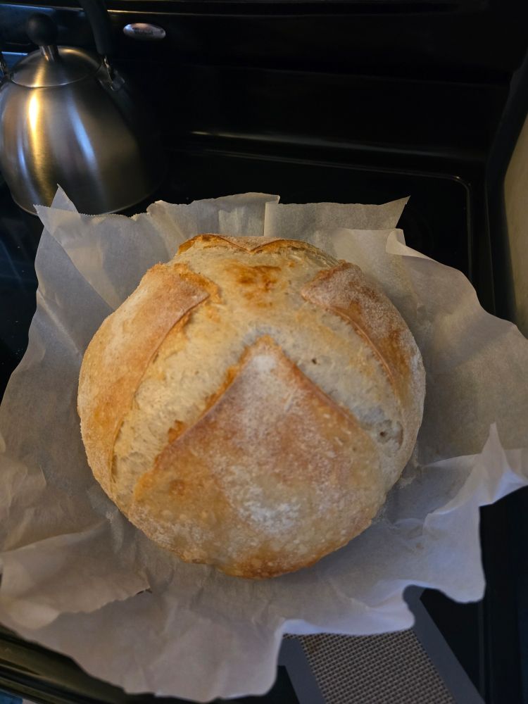 A large sourdough loaf with a cross score