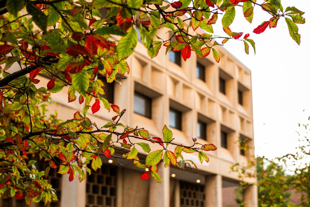 Close-up shot of a tree branch with leaves, some green and some red, against the backdrop of Bell Hall. The sky appears bright in the distance.

