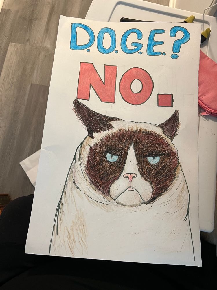 A sign with a hand drawn grumpy cat. It says “doge? No.” 