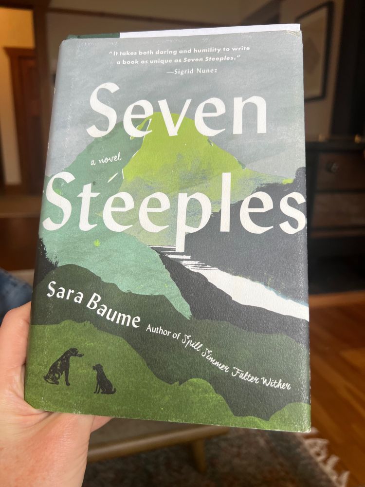 Cover of Seven Steeples by Sara Baume