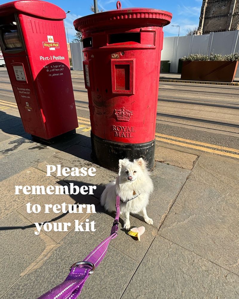 Small dog in front of a post box with the text 'please remember to return your kit'