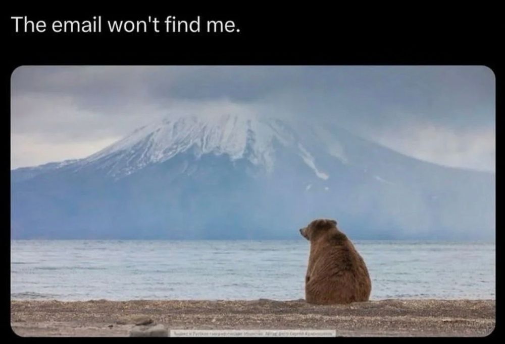 A bear sitting by a lake with a mountain in the distance. Text: The email won't find me.