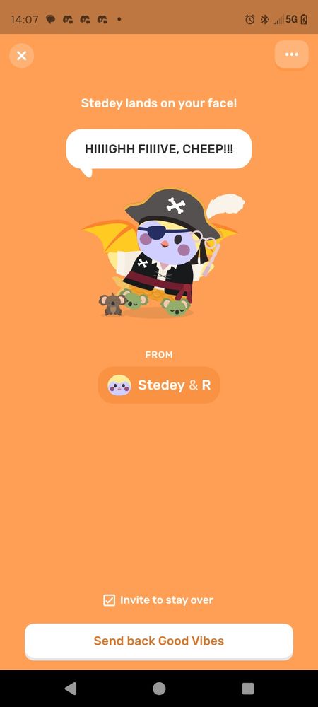A picture from the Finch app. It shows a birb in a piratey outfit with a hat and eye patch. The birb also has yellow wings on its back and green koala slippers. They are saying "HIIIIGH FIIIVE, CHEEP!!!" The text above the speech bubble says "Stedey lands on your face!"