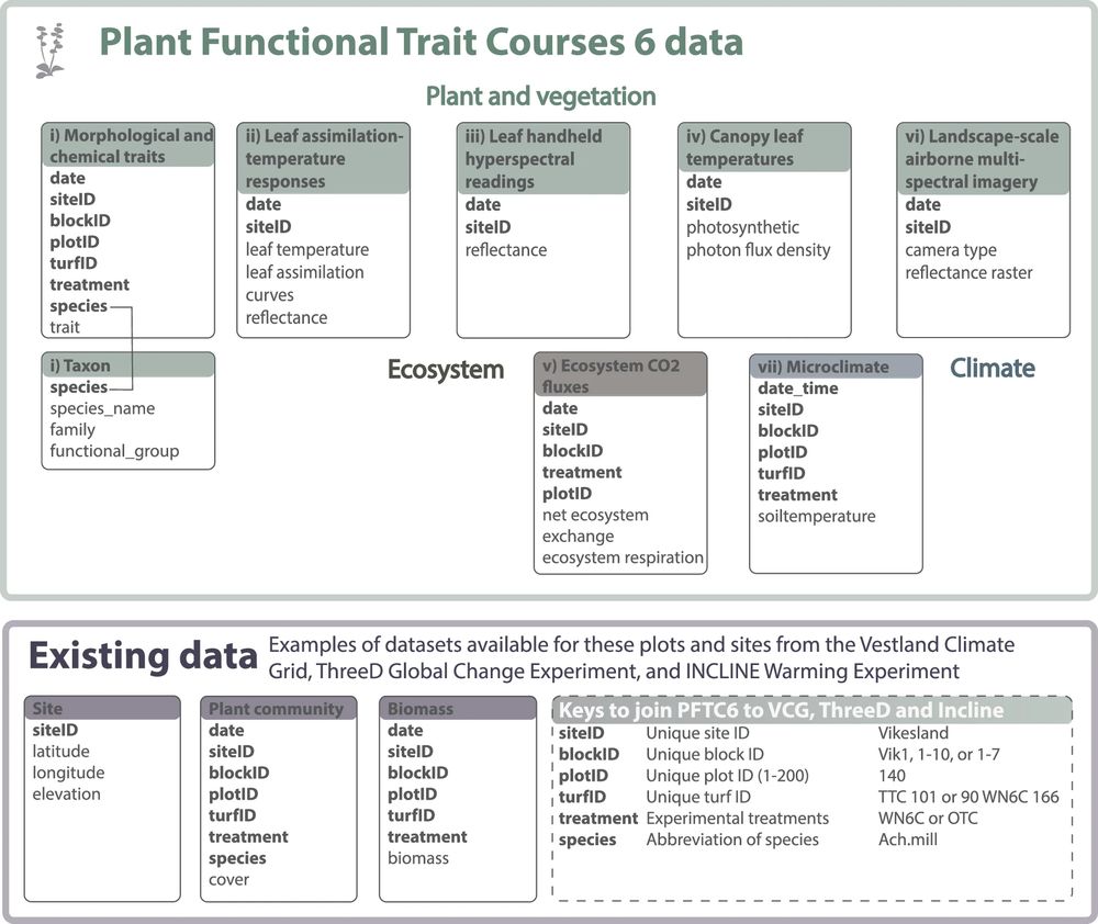 A diagram describing the PFTC6 dataset, including leaf traits, leaf assimilation temperature responses, hyperspectral readings, canopy leaf temperatures, airborne multi-spectral imagery, CO2 fluxes, and microclimate, linking in with existing datasets on plant community and biomass.