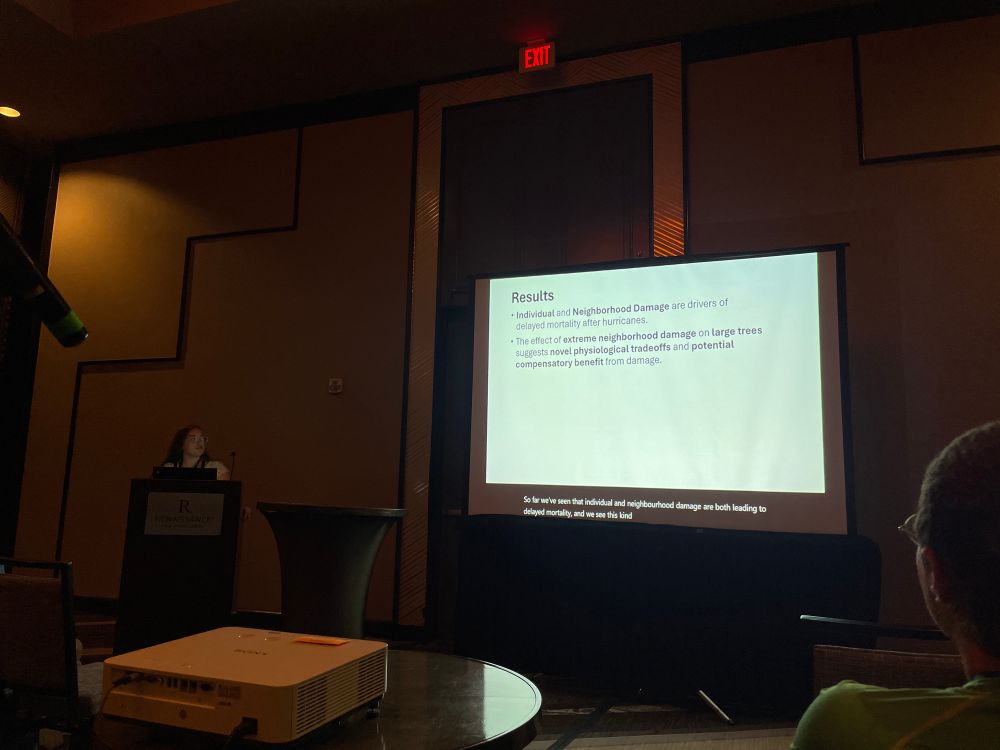 Alyssa presents results on individual and neighbourhood damage impacts on tree mortality. 