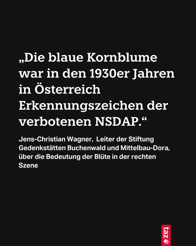 „Die blaue Kornblume war in den 1930er Jahren in Österreich Erkennungszeichen der verbotenen NSDAP.“
Jens-Christian Wagner,  Leiter der Stiftung Gedenkstätten Buchenwald und Mittelbau-Dora, über die Bedeutung der Blüte in der rechten Szene 
