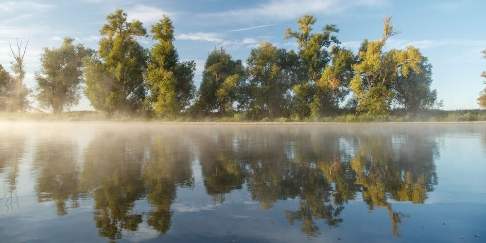 Agrarlobby gegen Naturschutz: Natur auf der Todesliste