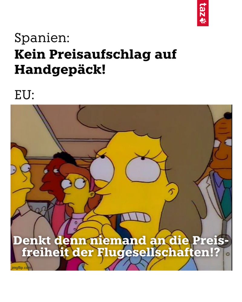 Ein Meme. Der Text: Spanien: Kein Preisaufschlag auf Handgepäck. EU: Ein Bild von Helen Lovejoy aus den Simpsons, dazu der Text: "Denkt denn niemand an die Preisfreiheit der Fluggesellschaften!?"