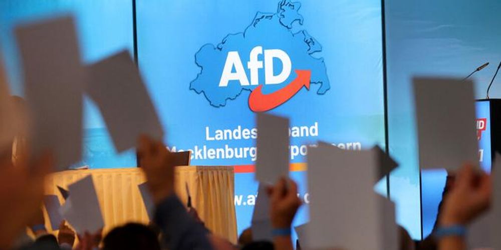 AfD schickt Prepper in Kreistag: Staatsgefährder wird Abgeordneter