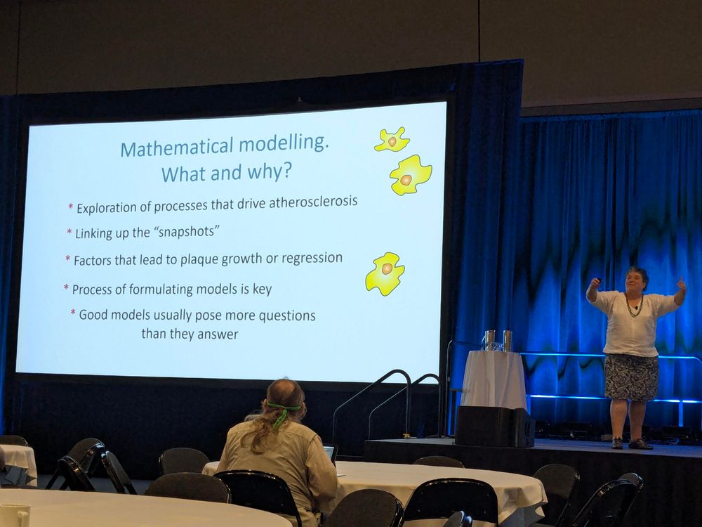 Why Math modeling
