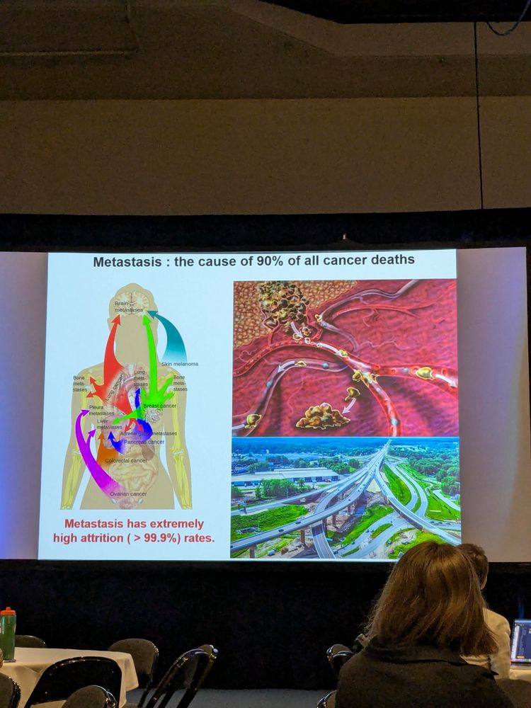 Metastasis:responsible for most of cancer deaths 