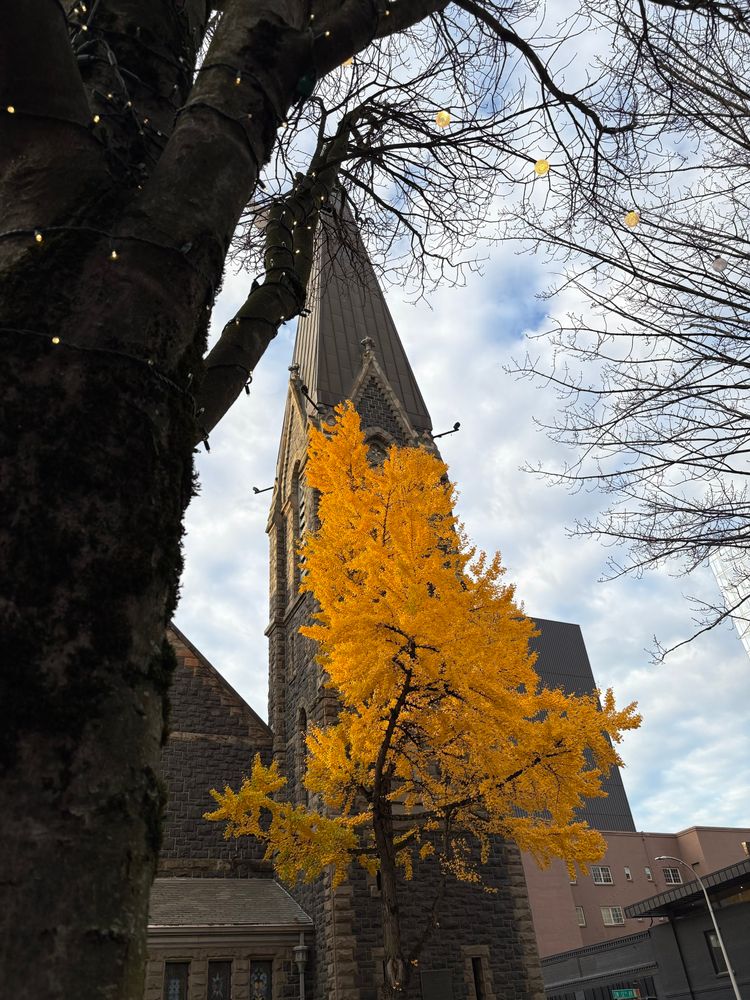 A tall stone church spire rises in the background, partially obscured by a tree with vibrant yellow leaves. Soft, cloudy skies are visible above, while twinkling lights are wrapped around a nearby tree trunk.