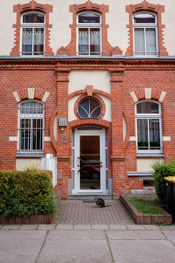 cat in front of a town house portal