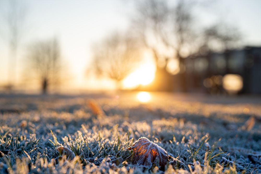 Sonnenaufgang, überfrorener Rasen mit einem trockenen Blatt im Vordergrund