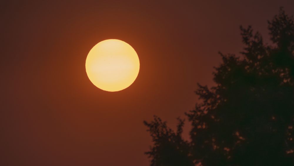 Sommerabend, untergehende Sonne, im zentralen Bereich sind 3 Sonnenflecken zu erkennen.