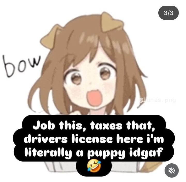 Job this, taxes that, drivers license here, I'm literally a puppy idgaf 🤣