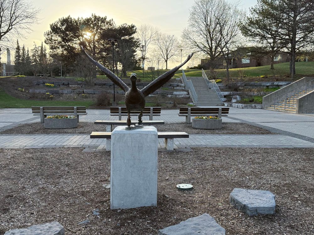 A statue of a goose in flight on campus with flowers behind