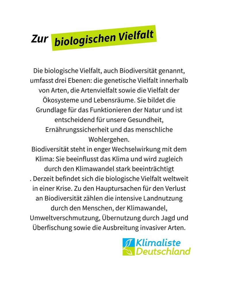 Text steht auf weißem Grund mit der Schlagzeile: "Zur biologischen Vielfalt", wobei die letzten beiden Worte frühlingsgrün hinterlegt sind. Der Text darunter lautet: "Die biologische Vielfalt, auch Biodiversität genannt, umfasst drei Ebenen: die genetische Vielfalt innerhalb von Arten, die Artenvielfalt sowie die Vielfalt der Ökosysteme und Lebensräume. Sie bildet die Grundlage für das Funktionieren der Natur und ist entscheidend für unsere Gesundheit, Ernährungssicherheit und das menschliche Wohlergehen.
Biodiversität steht in enger Wechselwirkung mit dem Klima: Sie beeinflusst das Klima und wird zugleich durch den Klimawandel stark beeinträchtigt. Derzeit befindet sich die biologische Vielfalt weltweit in einer Krise. Zu den Hauptursachen für den Verlust an Biodiversität zählen die intensive Landnutzung durch den Menschen, der Klimawandel, Umweltverschmutzung, Übernutzung durch Jagd und Überfischung, sowie die Ausbreitung invasiver Arten." Rechts unten, das Logo der Partei Klimaliste Deutschland.