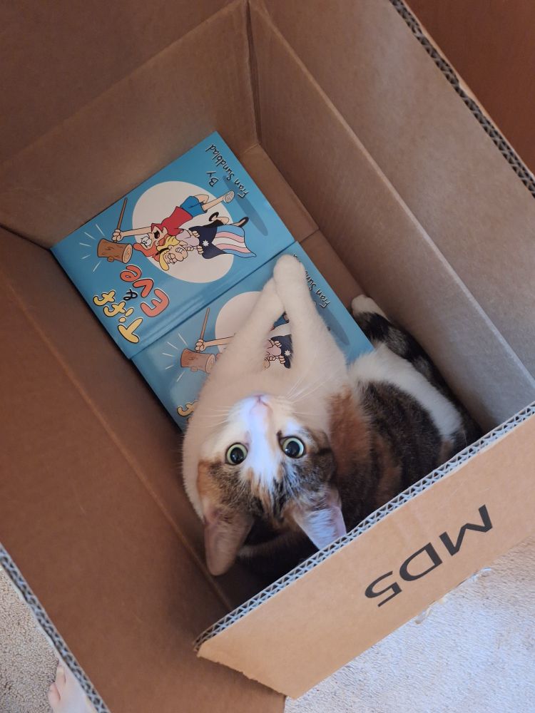A cat in a box on top of books of Tiff & Eve