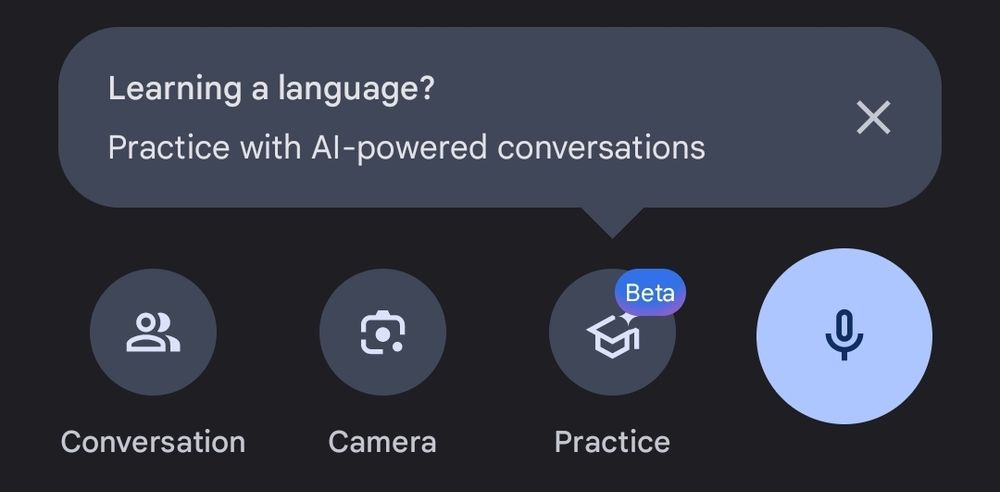 Google Translate app lower third has been redesigned with an added button for AI language "Practice" with an ad popout above the button with the following explanation: 

"Learning a language? Practice with AI-powered conversations"

No thank you, I can have fake Japanese language conversations in my head with Char Aznable that make my language skills increasingly amusing to 60-year old uncles all on my own; I don't need whatever it is you're offering...
